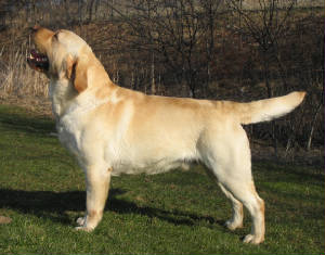 jake1.jpg