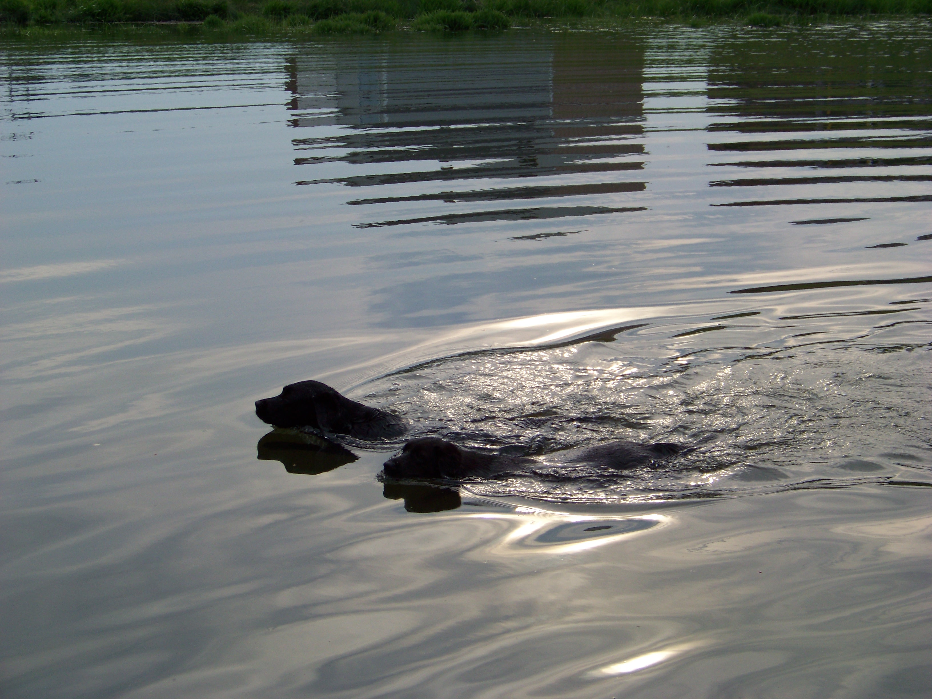 100_0076.jpg